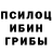 Псилоцибиновые грибы мицелий Svetlana FLP