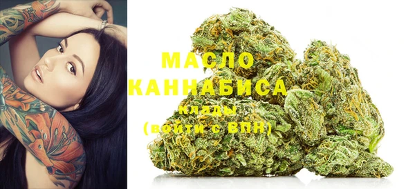 гидропоника Бородино